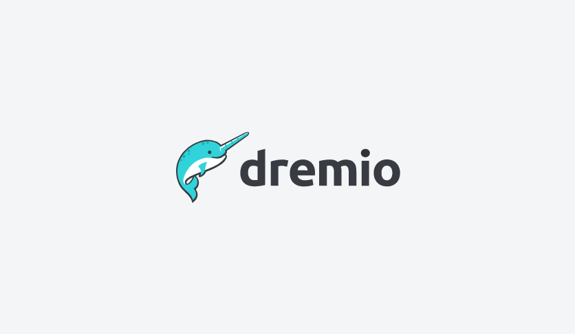 DataFocus合作伙伴-数据湖厂商-dremio