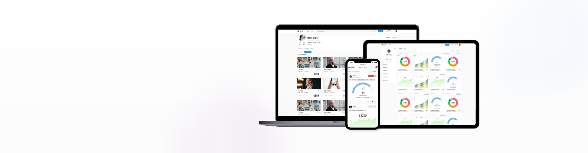 韬问-高效的数据可视化工具